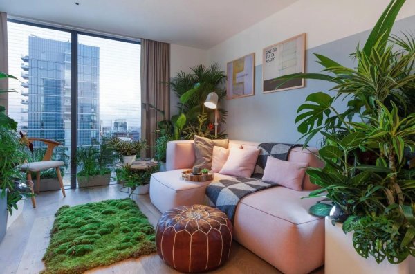 комната с растениями