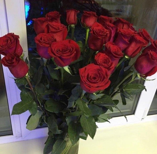 метровая роза