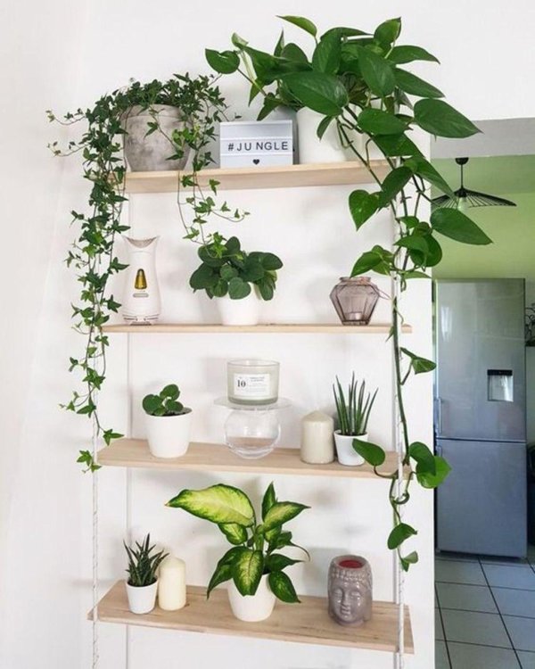 цветочный уголок в квартире