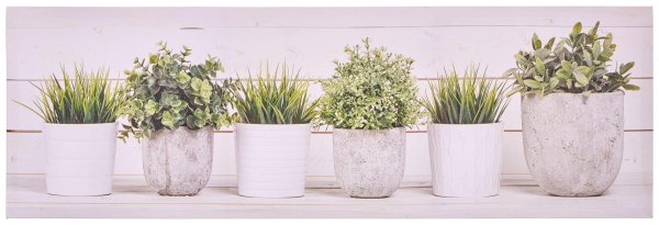 цветочные горшки