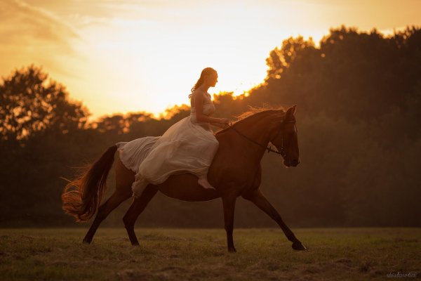 Девушка на коне