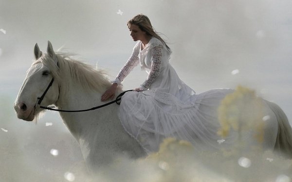 Девушка на коне