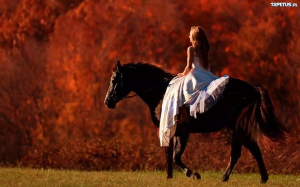 Девушка на коне
