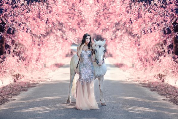 Девушка на коне