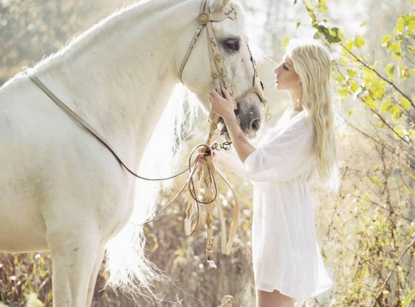 Девушка на коне