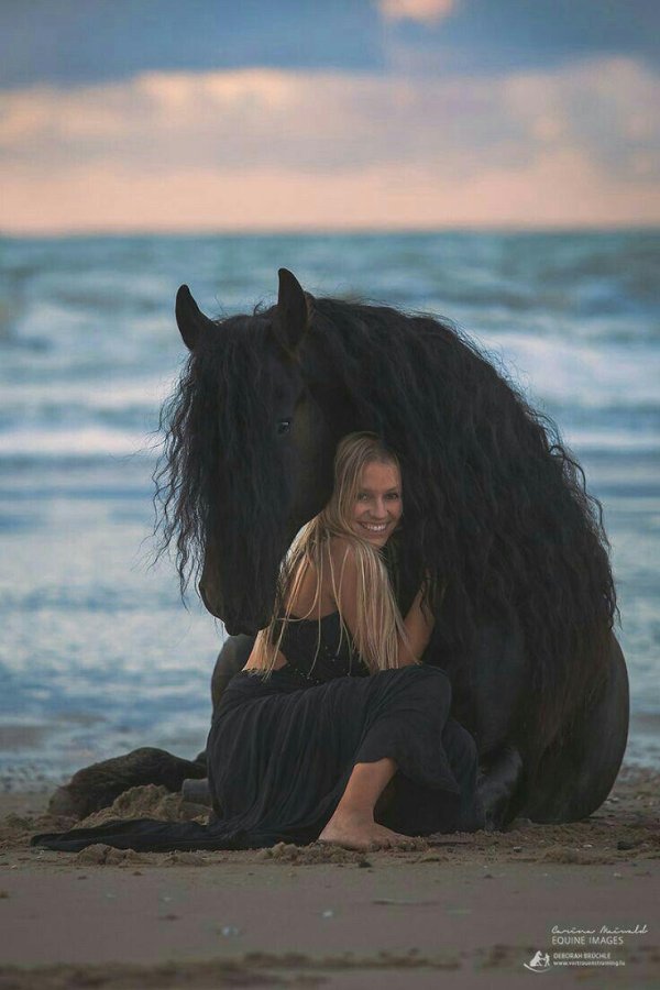 Девушка на коне