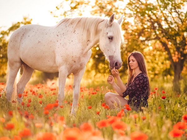 Девушка на коне