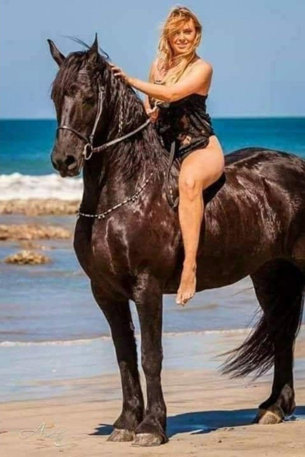 Девушка на коне