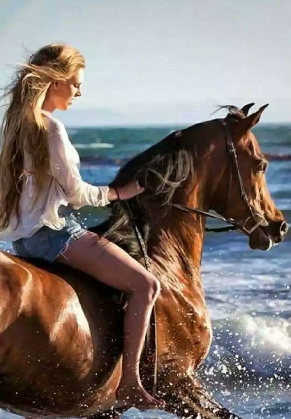 Девушка на коне