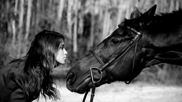 Девушка на коне