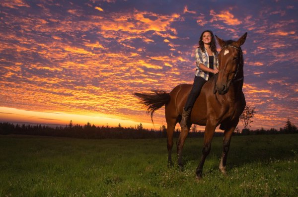 Девушка на коне
