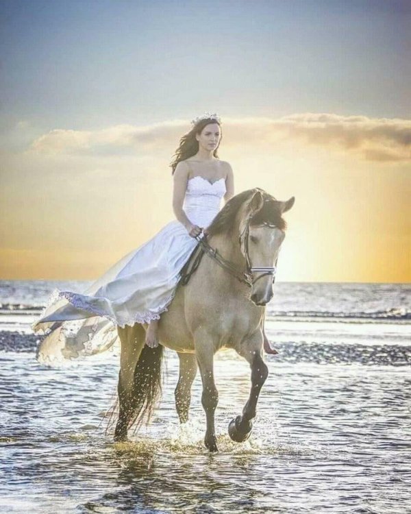 Девушка на коне