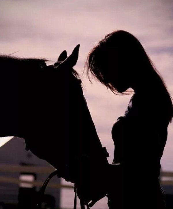 Девушка на коне