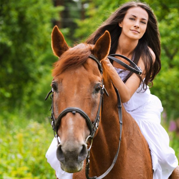 Девушка на коне