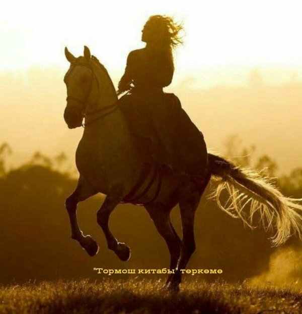 Девушка на коне