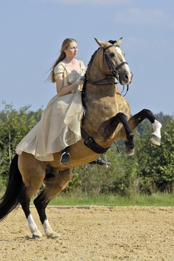 Девушка на коне