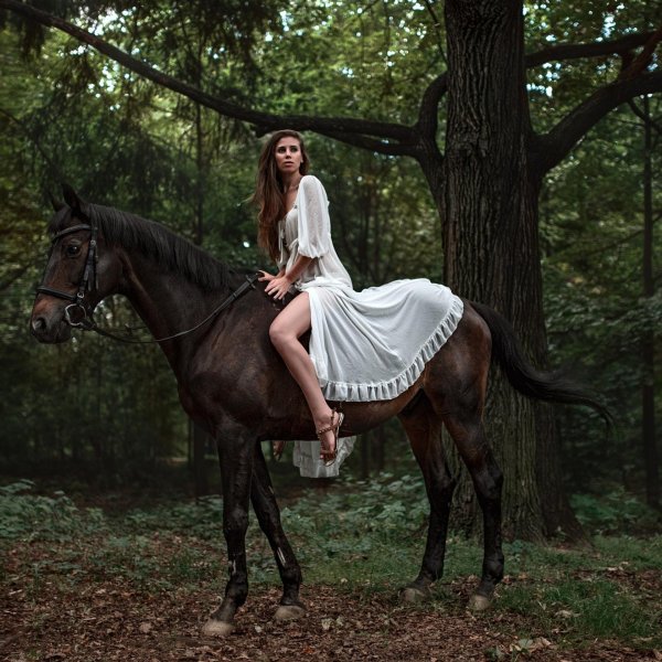 Девушка на коне