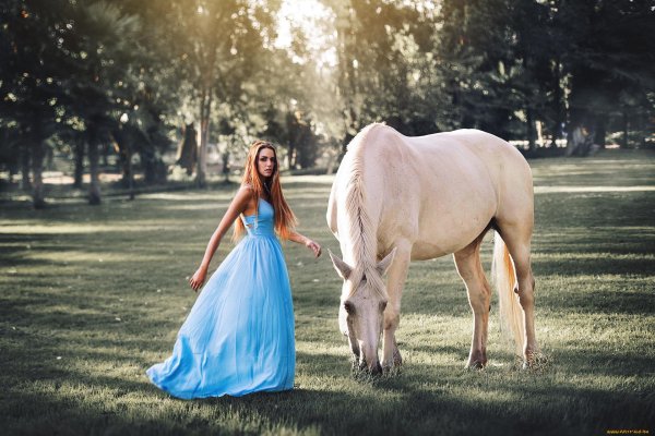 Девушка на коне