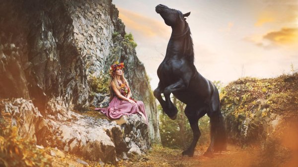 Девушка на коне