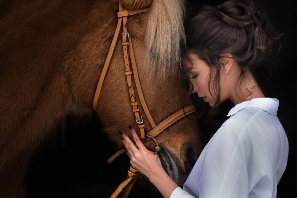 Девушка на коне