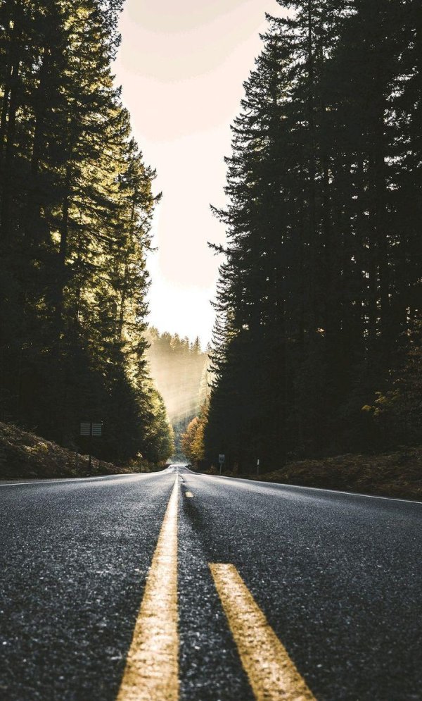 Девушка на дороге