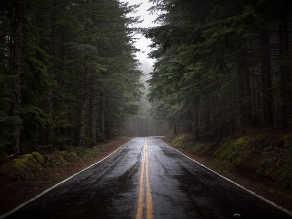 Девушка на дороге