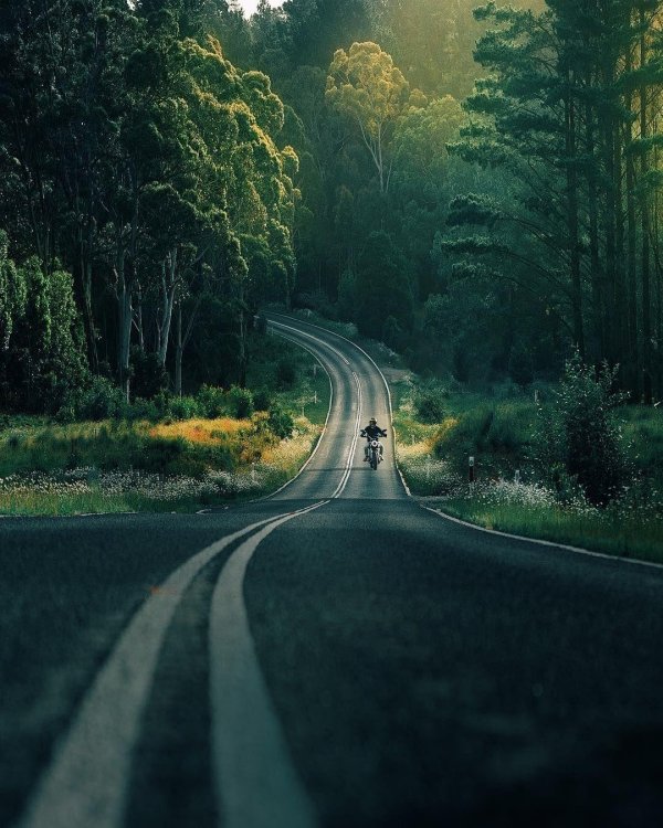 Девушка на дороге