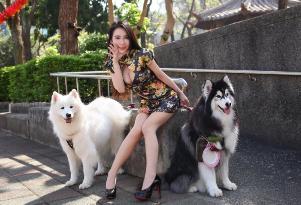 Девушка и собака