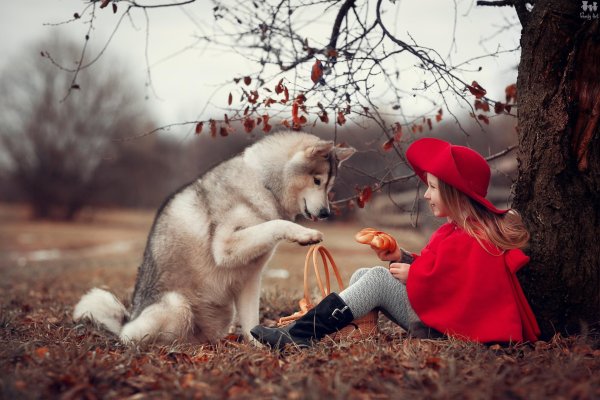 Девушка и собака