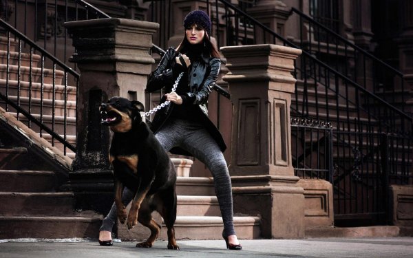 Девушка и собака