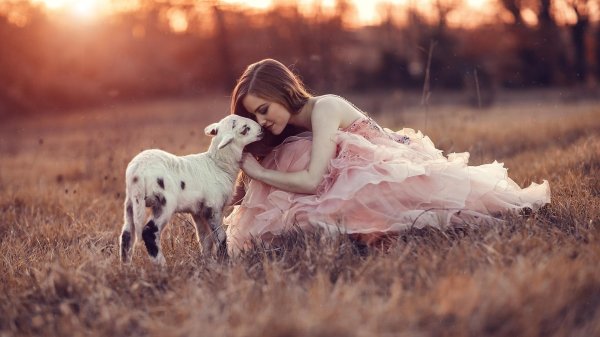 Девушка и собака