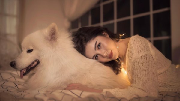 Девушка и собака