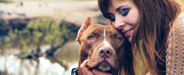 Девушка и собака