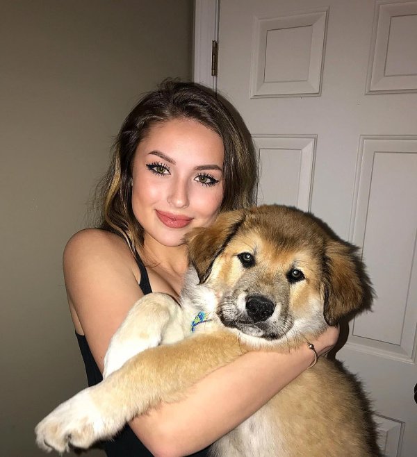 Девушка и собака