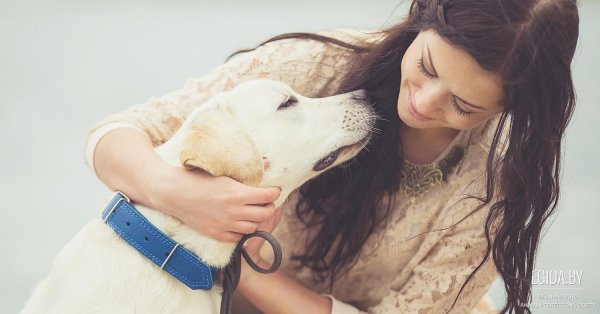 Девушка и собака