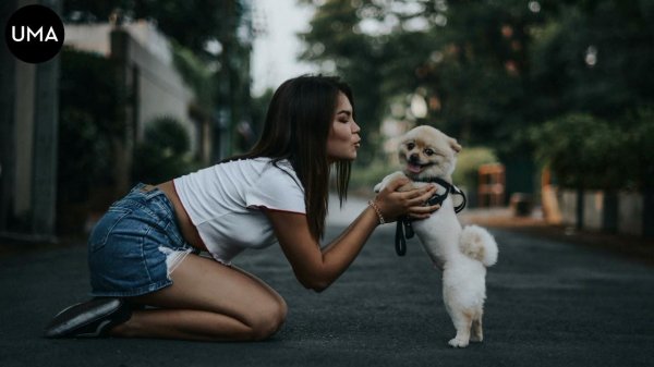 Девушка и собака