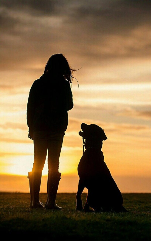 Девушка и собака