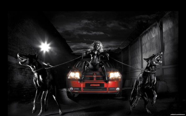 Девушка и собака