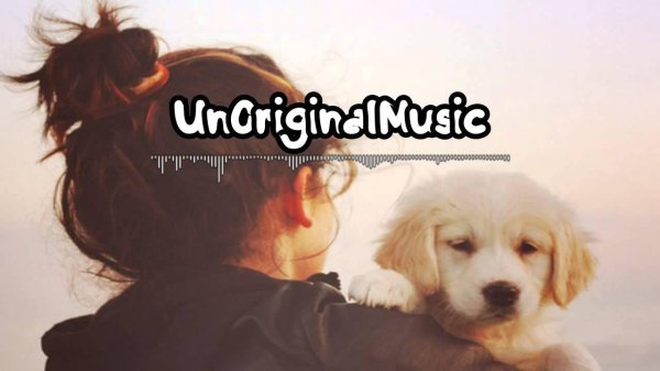 Девушка и собака