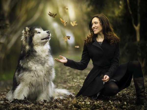 Девушка и собака