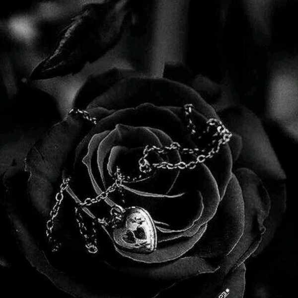 Девушка черным цветом