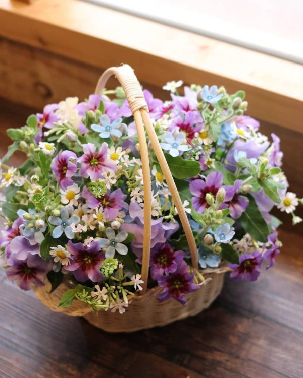 корзина полевых цветов