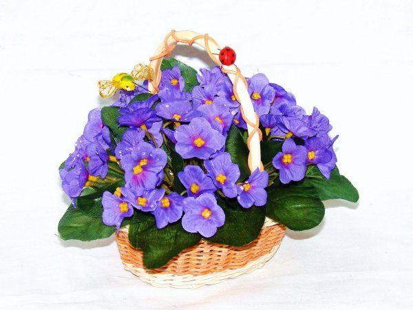 фиалки в корзине