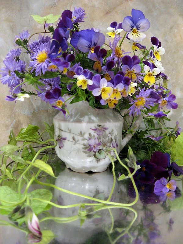 букет фиалки