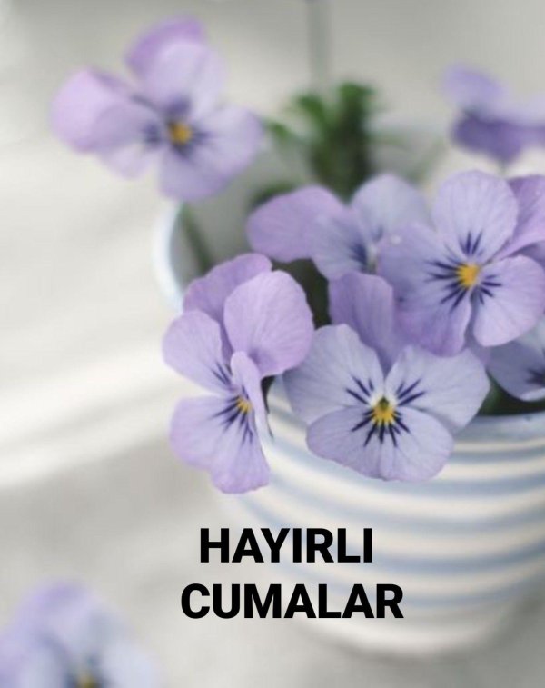 hayirli cumalar