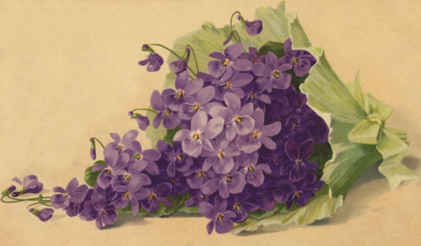 винтажные открытки с цветами