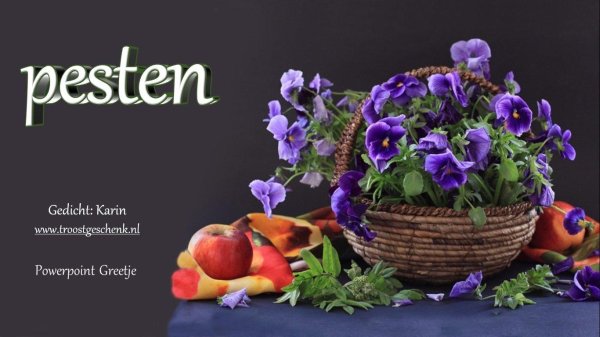 вербена с анютиными глазками