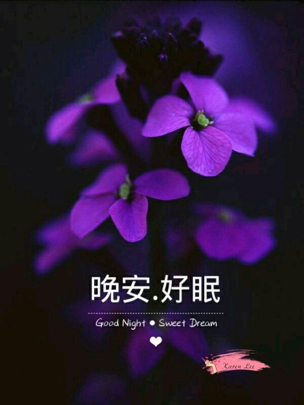 good night sweet dreams