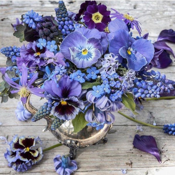 букет незабудки