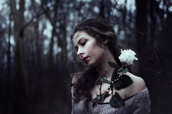 С девушками готика